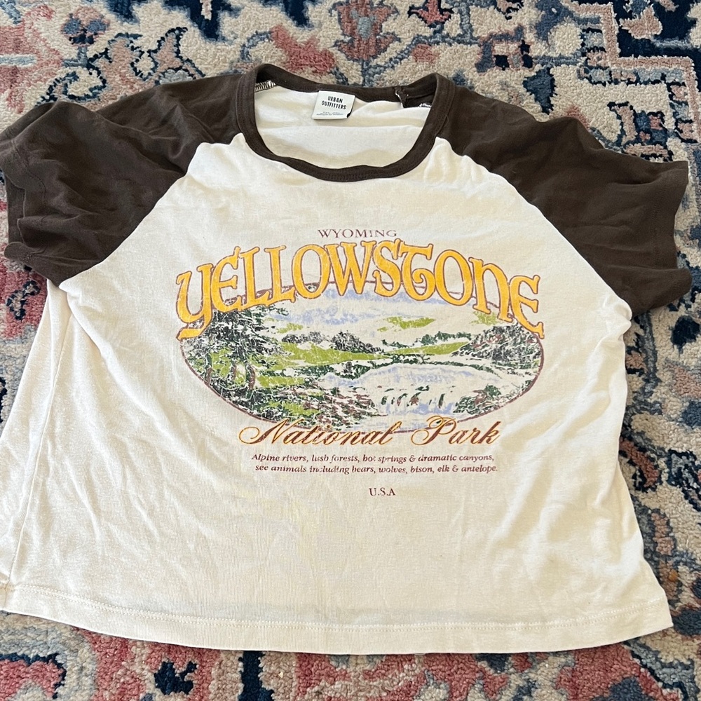 Urban Outfitters Brown and White Yellowstone  T-Shirt